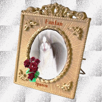 PORTRAIT DE fANFAN